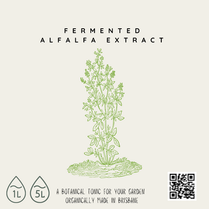 Fermented Plant Extract - Alfalfa