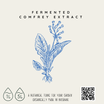 Fermented Plant Extract - Comfrey