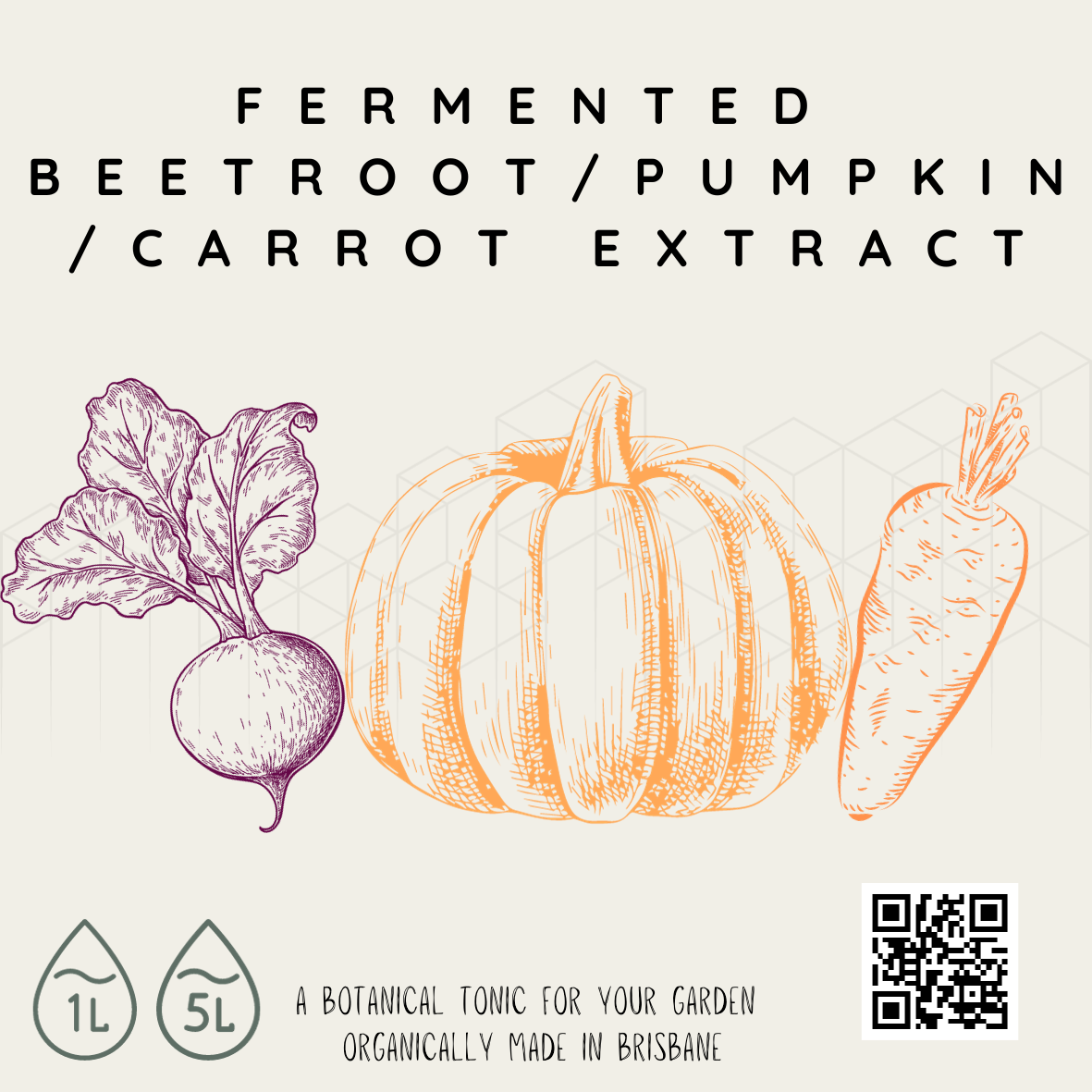 Fermented Beetroot/Pumpkin/Carrot Extract