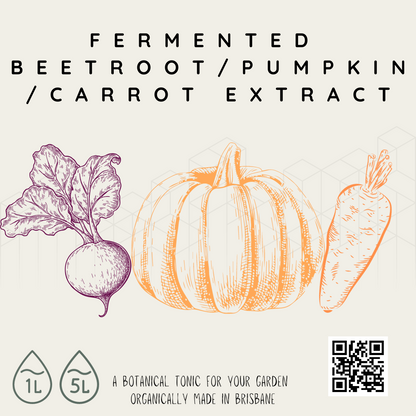 Fermented Beetroot/Pumpkin/Carrot Extract