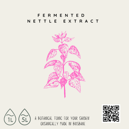 Fermented Plant Extract - Nettle