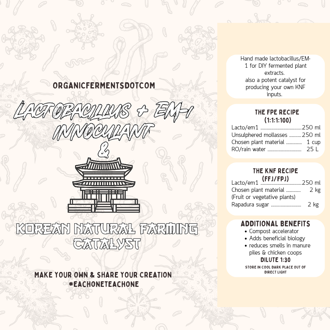 Lactobacillus + EM-1 innoculant & KNF catalyst  (1L)